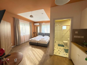 Modern Studio 2 private Kitchenette and Bathroom